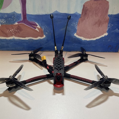 Custom fpv long - fpv, drone